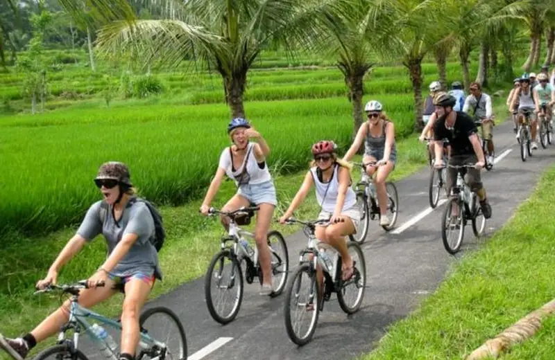Guests cycling past green rice fields in Bali