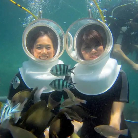 Two guests seawalking with fish