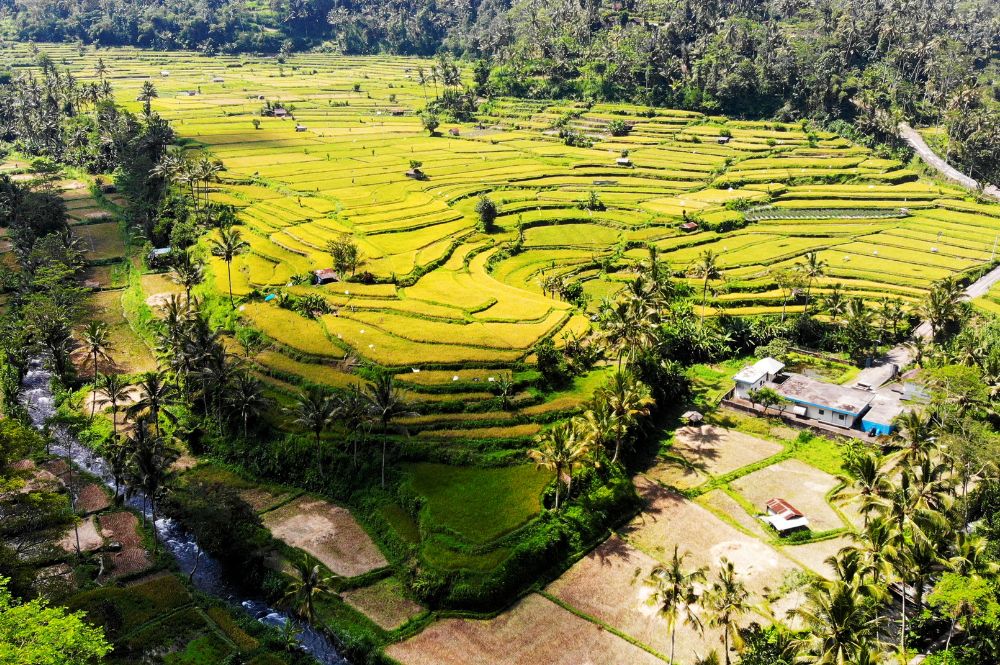 bali-best-place-to-go