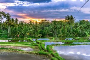 nice-places-to-go-in-bali